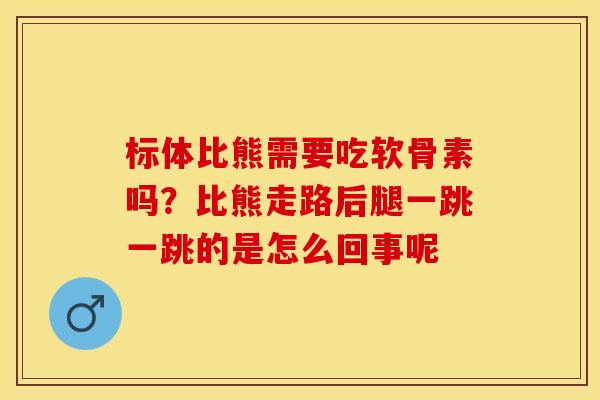 标体比熊需要吃软骨素吗?比熊走路后腿一跳一跳的是怎么回事呢 标体比熊需要吃软骨素吗?比熊走路后腿一跳一跳的是怎么回事呢