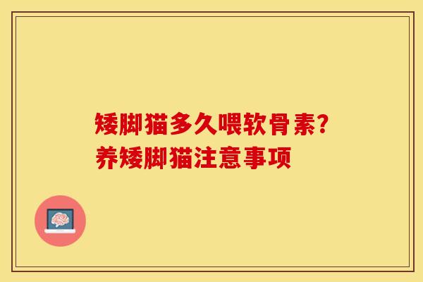 矮脚猫多久喂软骨素？养矮脚猫注意事项