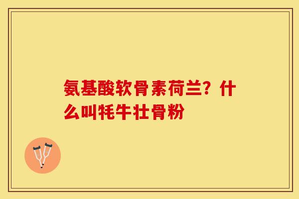 氨基酸软骨素荷兰？什么叫牦牛壮骨粉