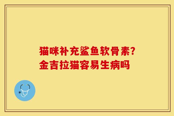 猫咪补充鲨鱼软骨素？金吉拉猫容易生病吗
