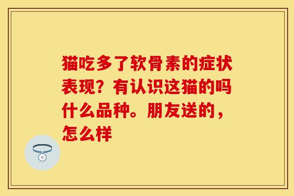 猫吃多了软骨素的症状表现？有认识这猫的吗什么品种。朋友送的，怎么样