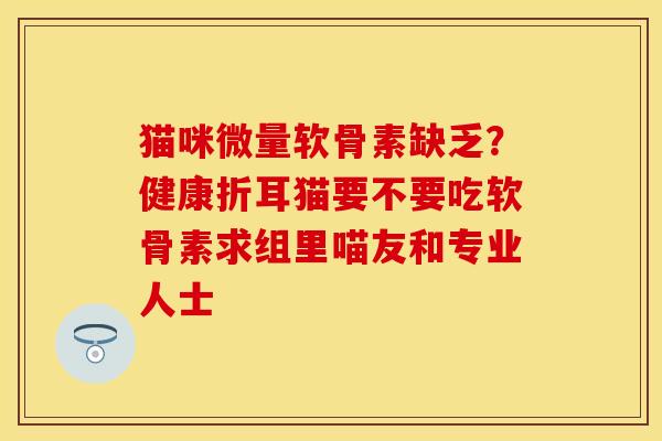 猫咪微量软骨素缺乏?健康折耳猫要不要吃软骨素求组里喵友和专业人士 猫咪微量软骨素缺乏?健康折耳猫要不要吃软骨素求组里喵友和专业人士