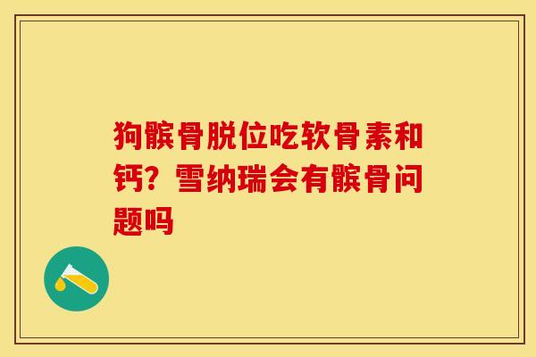 狗髌骨脱位吃软骨素和钙？雪纳瑞会有髌骨问题吗