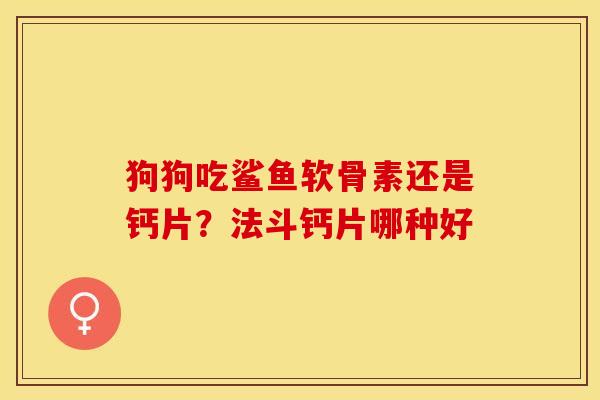 狗狗吃鲨鱼软骨素还是钙片？法斗钙片哪种好