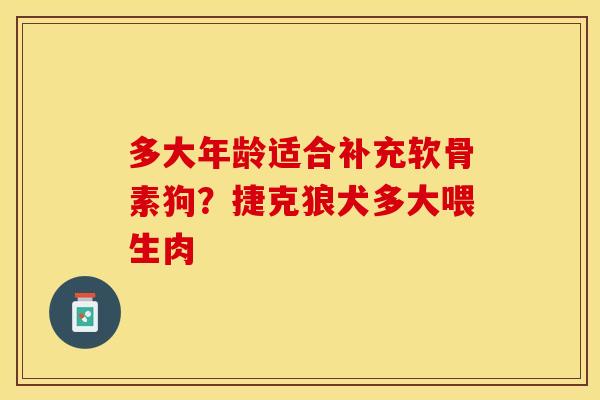 多大年龄适合补充软骨素狗？捷克狼犬多大喂生肉