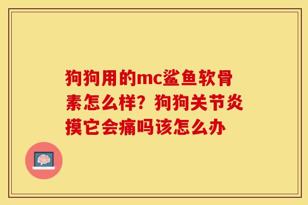 狗狗用的mc鲨鱼软骨素怎么样？狗狗关节炎摸它会痛吗该怎么办