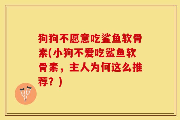 狗狗不愿意吃鲨鱼软骨素(小狗不爱吃鲨鱼软骨素,主人为何这么推荐?) 狗狗不愿意吃鲨鱼软骨素(小狗不爱吃鲨鱼软骨素,主人为何这么推荐?)