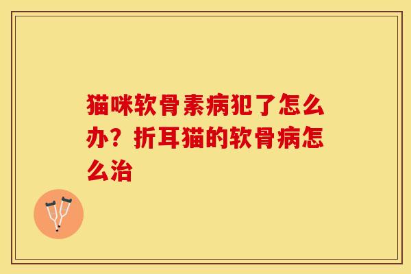 猫咪软骨素病犯了怎么办？折耳猫的软骨病怎么治