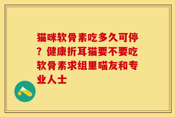 猫咪软骨素吃多久可停？健康折耳猫要不要吃软骨素求组里喵友和专业人士