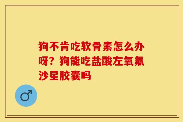 狗不肯吃软骨素怎么办呀?狗能吃盐酸左氧氟沙星胶囊吗 狗不肯吃软骨素怎么办呀?狗能吃盐酸左氧氟沙星胶囊吗