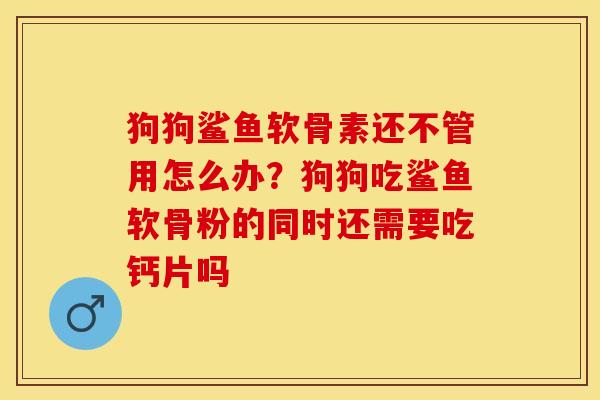 狗狗鲨鱼软骨素还不管用怎么办？狗狗吃鲨鱼软骨粉的同时还需要吃钙片吗