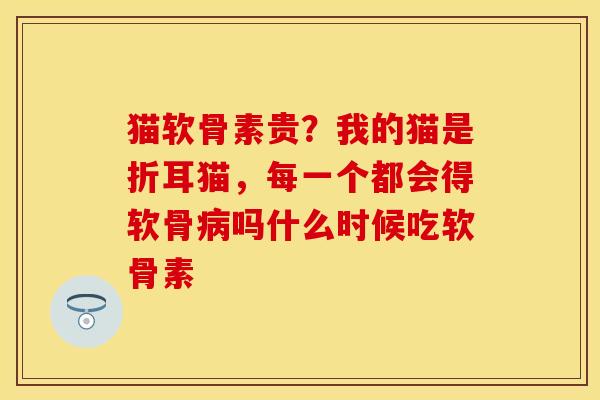 猫软骨素贵？我的猫是折耳猫，每一个都会得软骨病吗什么时候吃软骨素