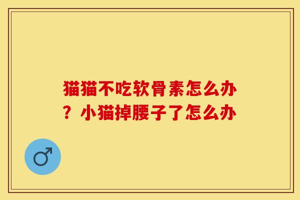 猫猫不吃软骨素怎么办?小猫掉腰子了怎么办 猫猫不吃软骨素怎么办?小猫掉腰子了怎么办