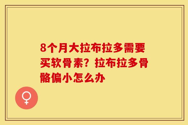 8个月大拉布拉多需要买软骨素?拉布拉多骨骼偏小怎么办 8个月大拉布拉多需要买软骨素?拉布拉多骨骼偏小怎么办