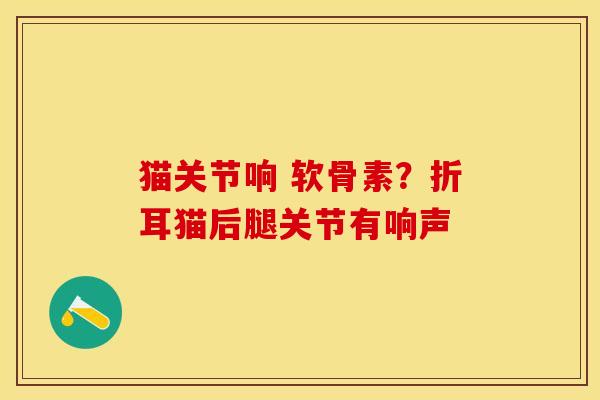 猫关节响 软骨素？折耳猫后腿关节有响声