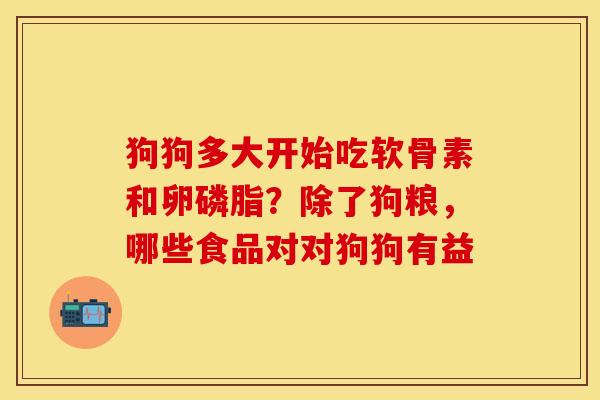 狗狗多大开始吃软骨素和卵磷脂？除了狗粮，哪些食品对对狗狗有益