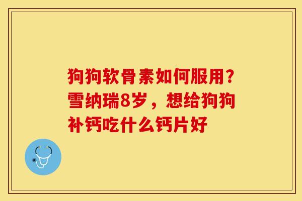 狗狗软骨素如何服用？雪纳瑞8岁，想给狗狗补钙吃什么钙片好