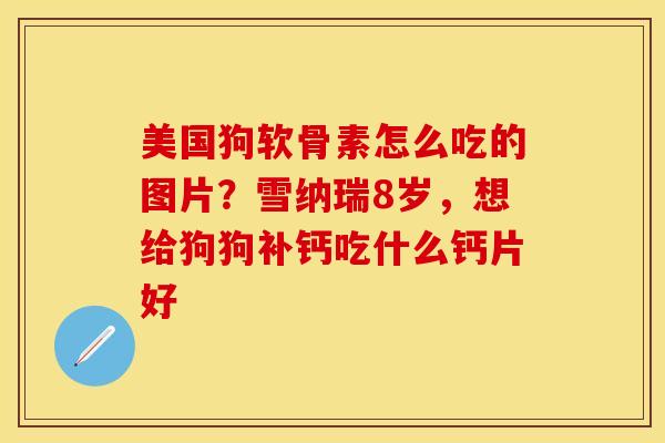 美国狗软骨素怎么吃的图片？雪纳瑞8岁，想给狗狗补钙吃什么钙片好