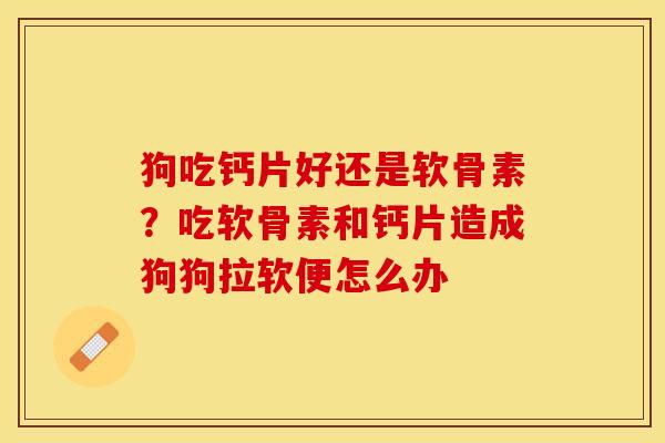 狗吃钙片好还是软骨素？吃软骨素和钙片造成狗狗拉软便怎么办