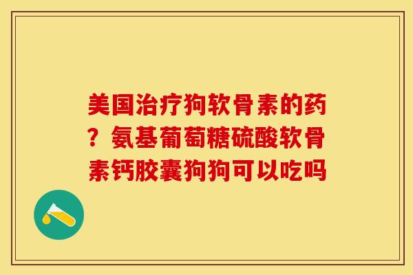 美国治疗狗软骨素的药？氨基葡萄糖硫酸软骨素钙胶囊狗狗可以吃吗