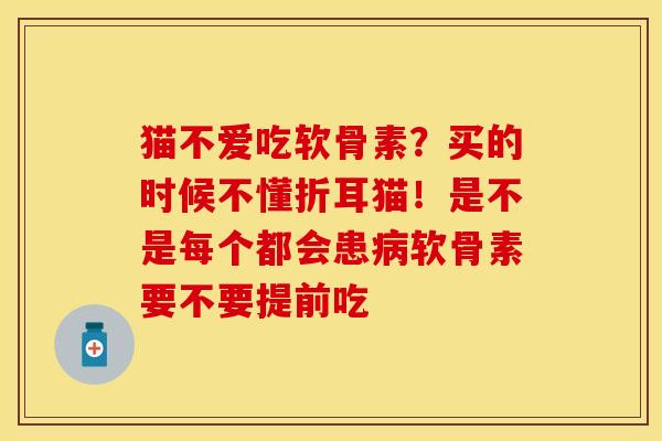 猫不爱吃软骨素？买的时候不懂折耳猫！是不是每个都会患病软骨素要不要提前吃