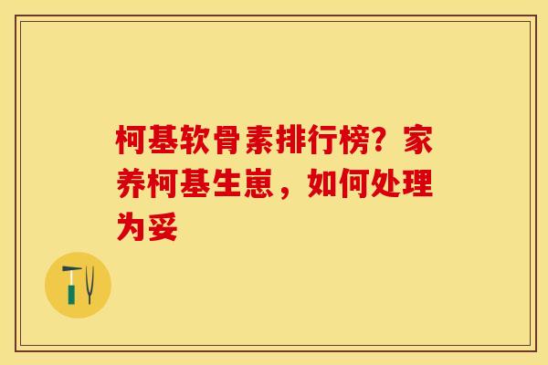 柯基软骨素排行榜？家养柯基生崽，如何处理为妥