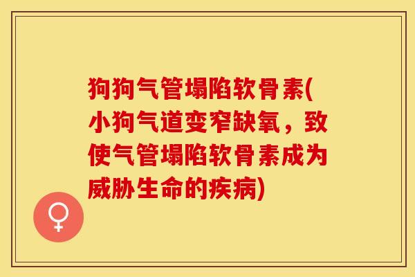 狗狗气管塌陷软骨素(小狗气道变窄缺氧，致使气管塌陷软骨素成为威胁生命的疾病)