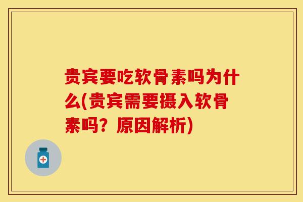 贵宾要吃软骨素吗为什么(贵宾需要摄入软骨素吗？原因解析)