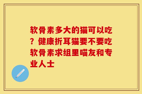 软骨素多大的猫可以吃？健康折耳猫要不要吃软骨素求组里喵友和专业人士