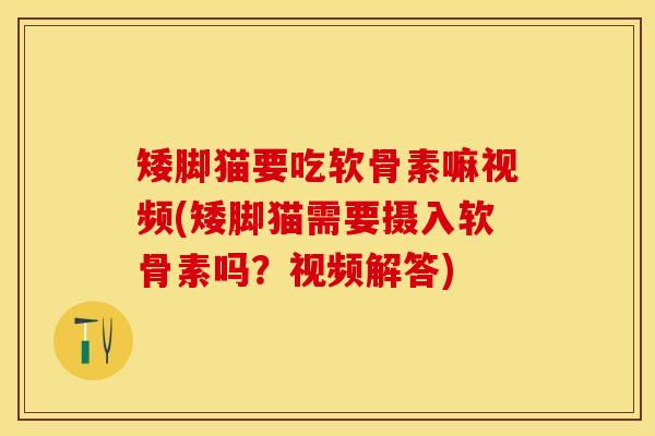 矮脚猫要吃软骨素嘛视频(矮脚猫需要摄入软骨素吗？视频解答)