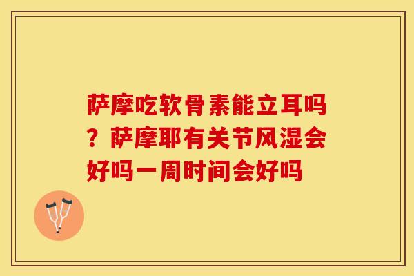 萨摩吃软骨素能立耳吗？萨摩耶有关节风湿会好吗一周时间会好吗