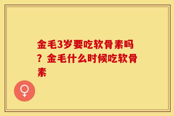 金毛3岁要吃软骨素吗？金毛什么时候吃软骨素