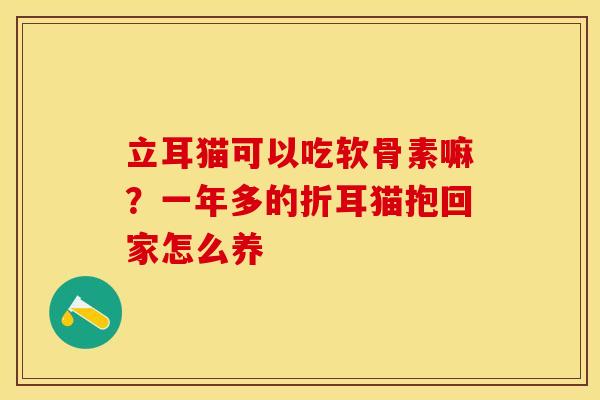 立耳猫可以吃软骨素嘛？一年多的折耳猫抱回家怎么养