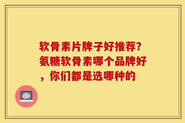 软骨素片牌子好推荐？氨糖软骨素哪个品牌好，你们都是选哪种的