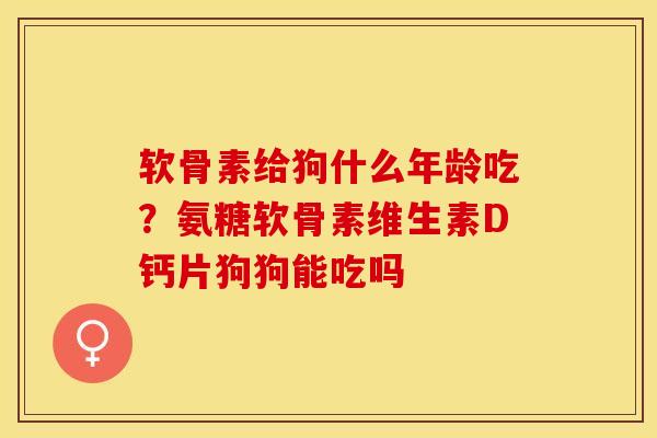 软骨素给狗什么年龄吃？氨糖软骨素维生素D钙片狗狗能吃吗