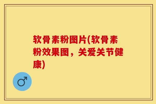 软骨素粉图片(软骨素粉效果图，关爱关节健康)