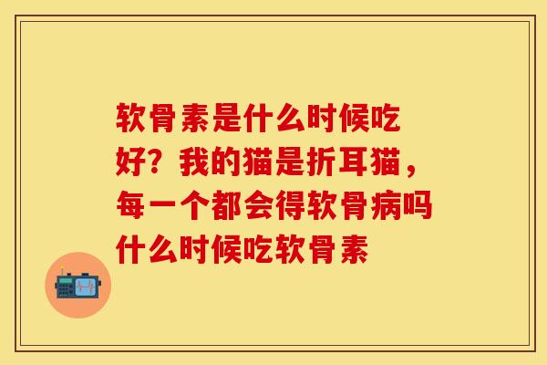 软骨素是什么时候吃 好？我的猫是折耳猫，每一个都会得软骨病吗什么时候吃软骨素