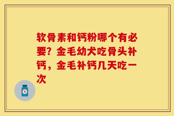 软骨素和钙粉哪个有必要?金毛幼犬吃骨头补钙,金毛补钙几天吃一次 软骨素和钙粉哪个有必要?金毛幼犬吃骨头补钙,金毛补钙几天吃一次