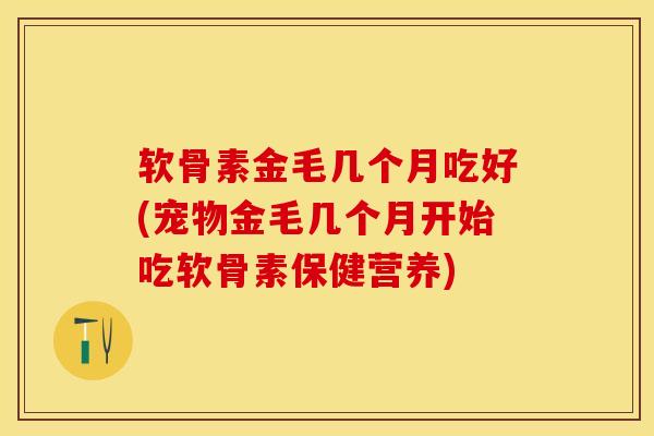软骨素金毛几个月吃好(宠物金毛几个月开始吃软骨素保健营养)
