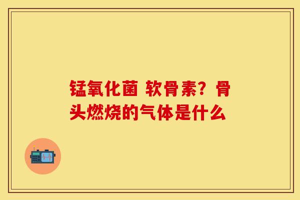 锰氧化菌 软骨素?骨头燃烧的气体是什么 锰氧化菌 软骨素?骨头燃烧的气体是什么
