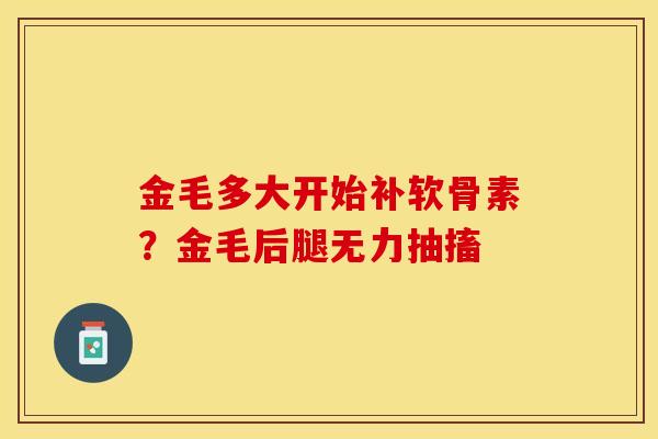 金毛多大开始补软骨素?金毛后腿无力抽搐 金毛多大开始补软骨素?金毛后腿无力抽搐
