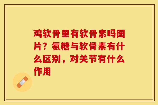 鸡软骨里有软骨素吗图片?氨糖与软骨素有什么区别,对关节有什么作用 鸡软骨里有软骨素吗图片?氨糖与软骨素有什么区别,对关节有什么作用