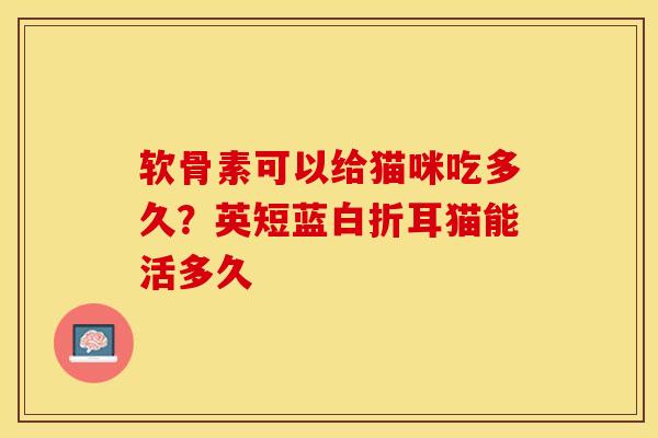 软骨素可以给猫咪吃多久？英短蓝白折耳猫能活多久