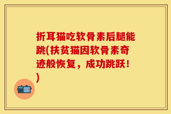 折耳猫吃软骨素后腿能跳(扶贫猫因软骨素奇迹般恢复，成功跳跃！)