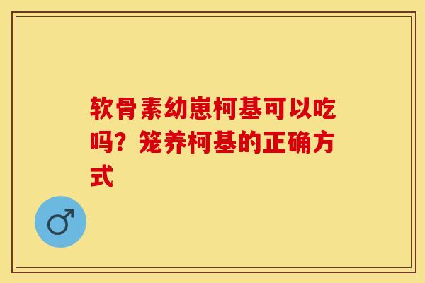 软骨素幼崽柯基可以吃吗？笼养柯基的正确方式