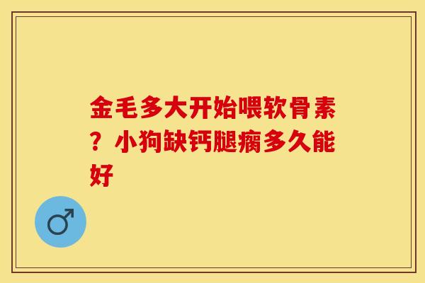 金毛多大开始喂软骨素？小狗缺钙腿瘸多久能好