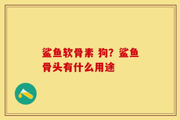 鲨鱼软骨素 狗？鲨鱼骨头有什么用途
