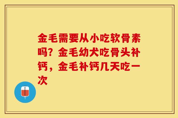 金毛需要从小吃软骨素吗？金毛幼犬吃骨头补钙，金毛补钙几天吃一次