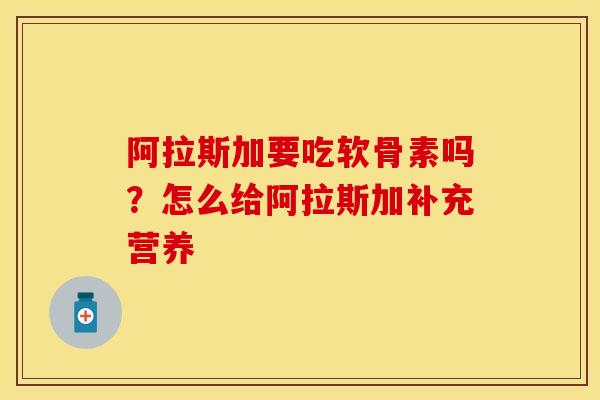 阿拉斯加要吃软骨素吗？怎么给阿拉斯加补充营养