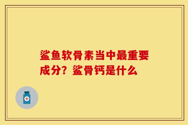 鲨鱼软骨素当中最重要成分？鲨骨钙是什么